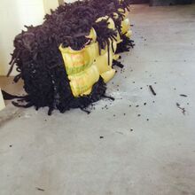 叮咚买菜多个北京站点被关闭！官方回应：部分站点调整 不影响整体运营