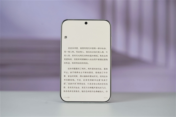曲棍球二级证